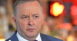 Anthony Albanese: Australia’s Labor opposition elects new leader